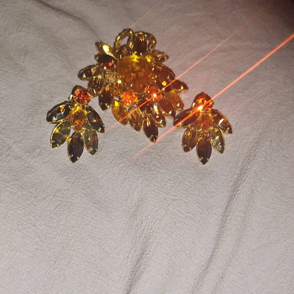 Vintage Broach &Earrings